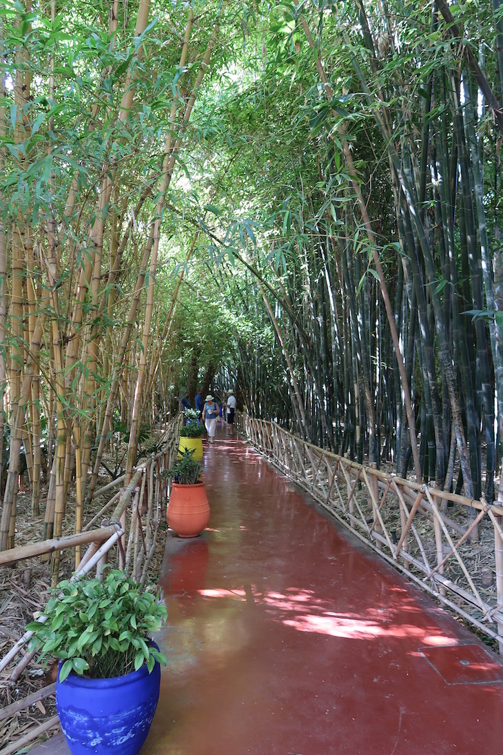 Jardim Majorelle - Marraquexe - Marrocos © Viaje Comigo-