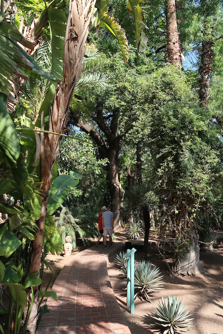 Jardim Majorelle - Marraquexe - Marrocos © Viaje Comigo