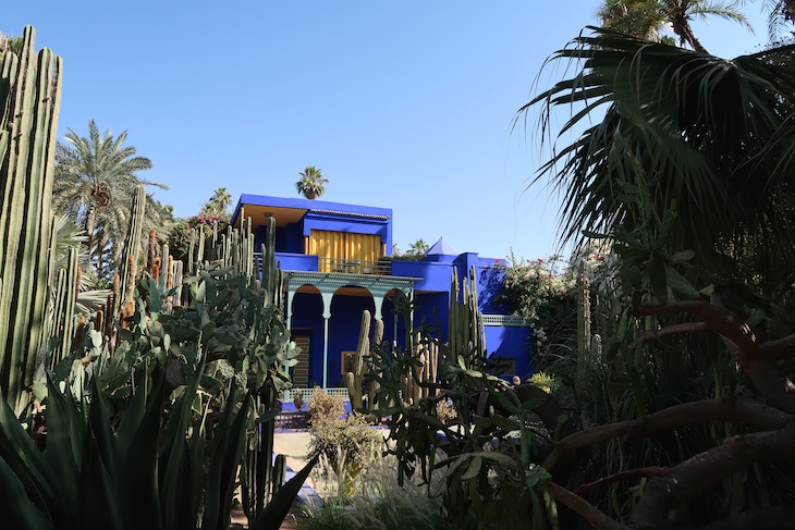 Jardim Majorelle - Marraquexe - Marrocos © Viaje Comigo