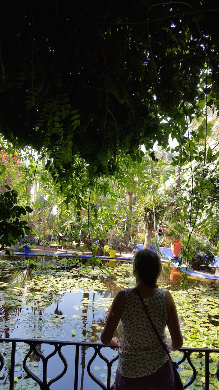 Jardim Majorelle - Marraquexe - Marrocos © Viaje Comigo-