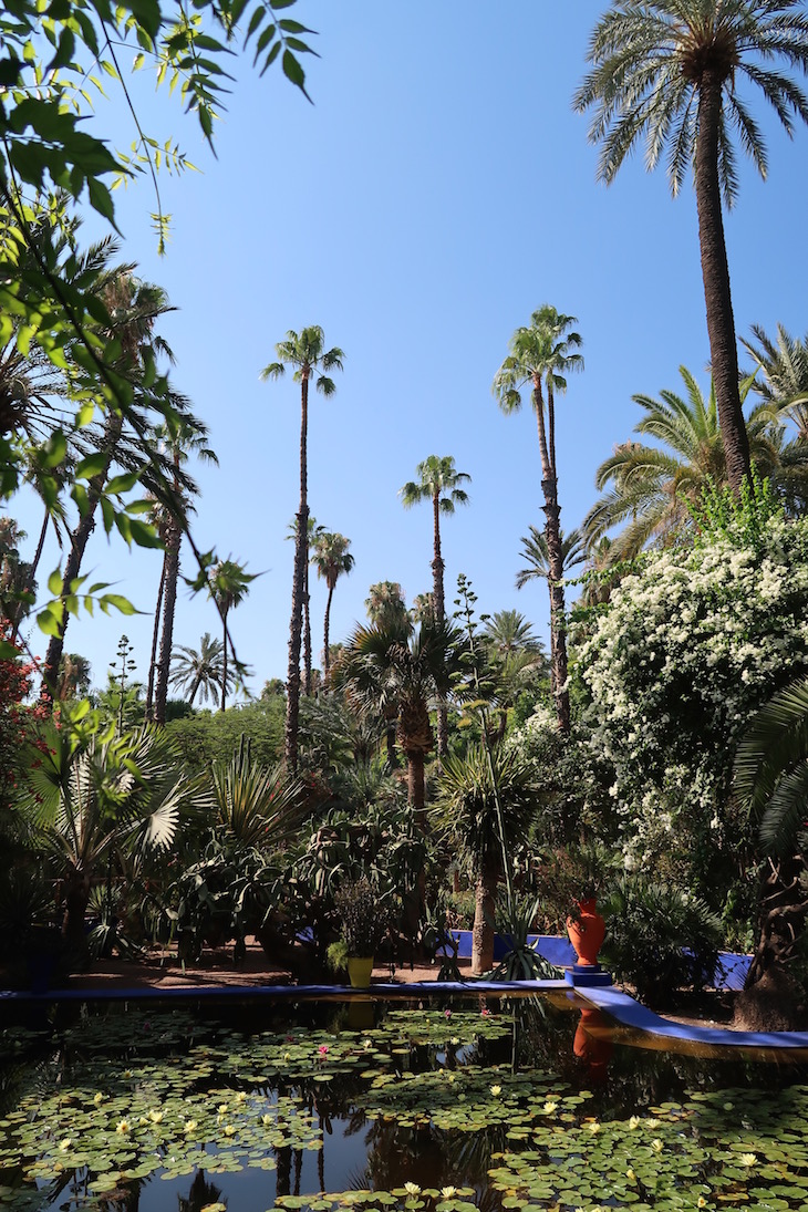 Jardim Majorelle - Marraquexe - Marrocos © Viaje Comigo