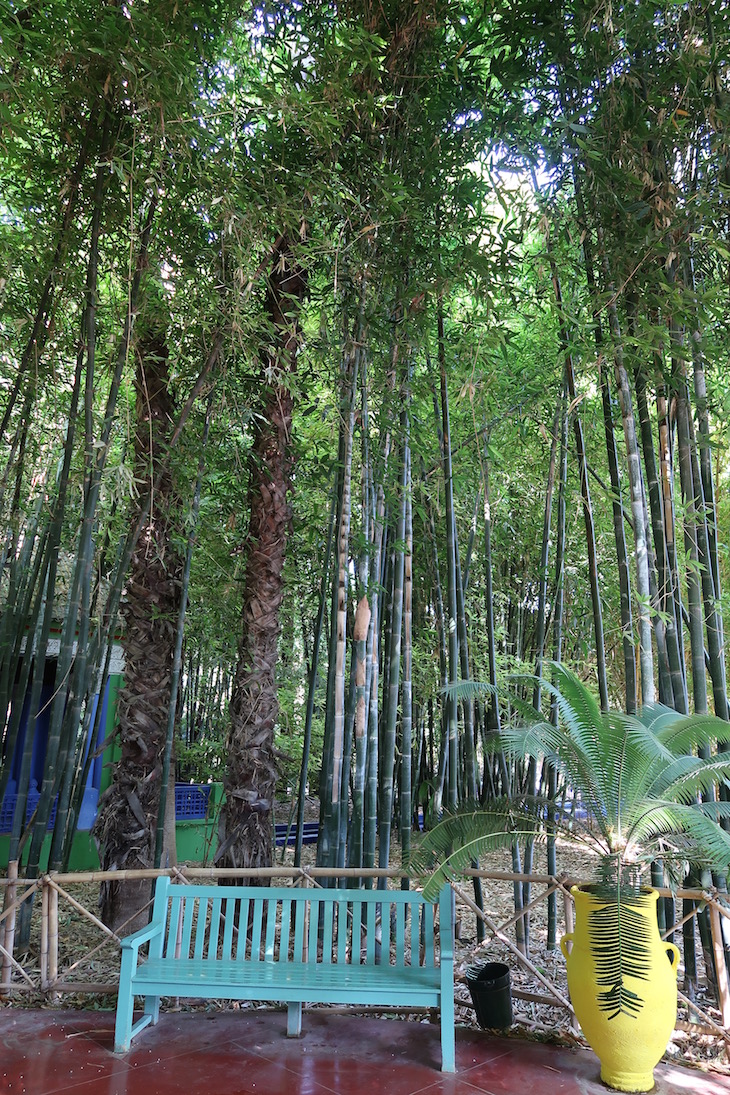 Jardim Majorelle - Marraquexe - Marrocos © Viaje Comigo