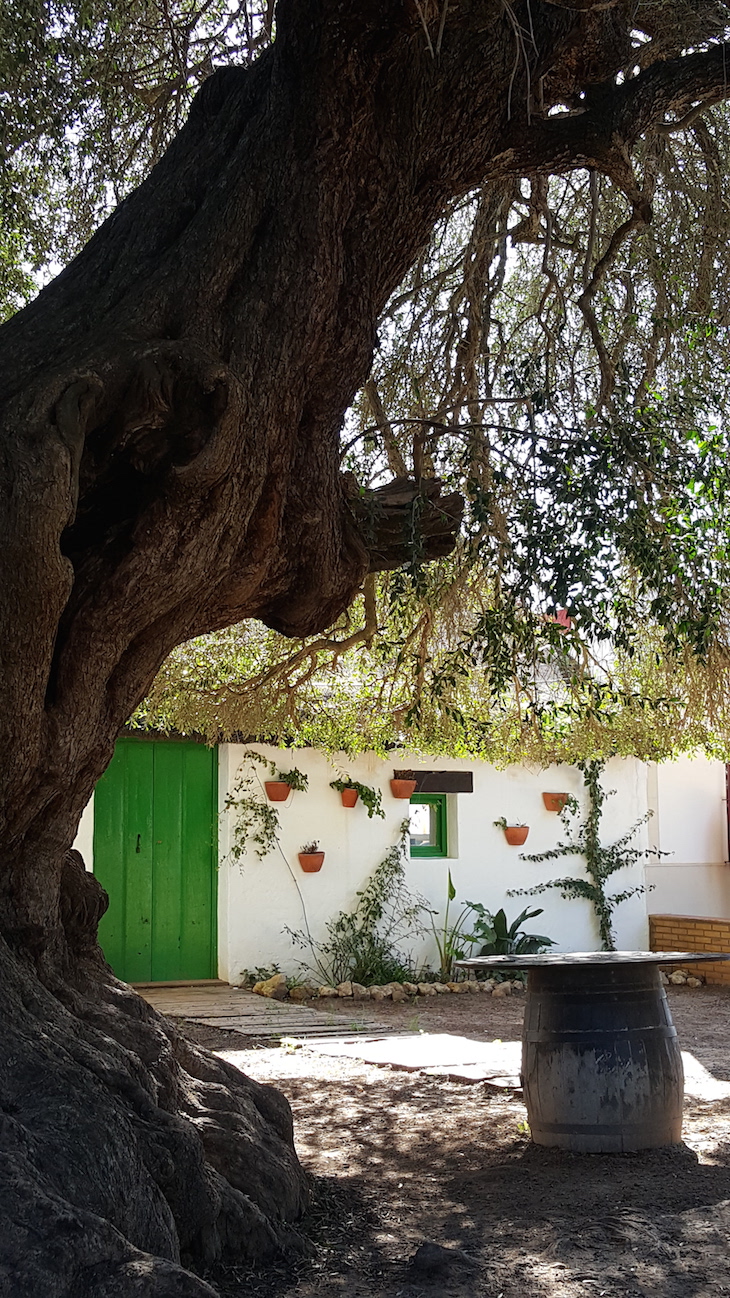 Casa ao lado do restaurante Toruño, em El Rocio, Huelva © Viaje Comigo