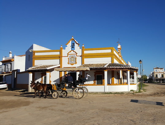 Cavalos em El Rocio © Viaje Comigo