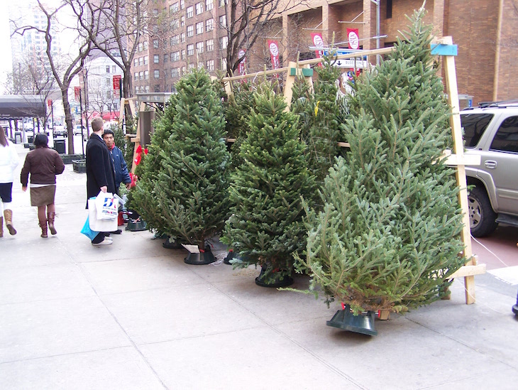 Venda de pinheiros de Natal nas ruas de Nova Iorque © Viaje Comigo