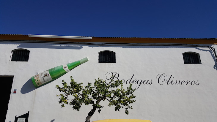 Vinhos Oliveiros, Huelva © Viaje Comigo