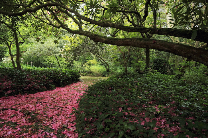 Parque da Pena - Créditos: PSML Emigus