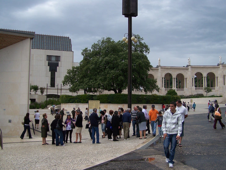 Azinheira no Santuário de Fátima © Viaje Comigo