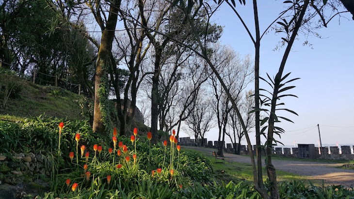 Jardim do Castelo de Leiria © Viaje Comigo