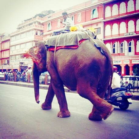 Índia, Jaipur © Viaje Comigo