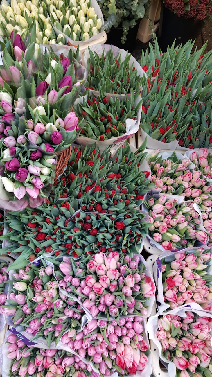 Bloemenmarkt - Mercado de Flores em Amesterdão © Viaje Comigo