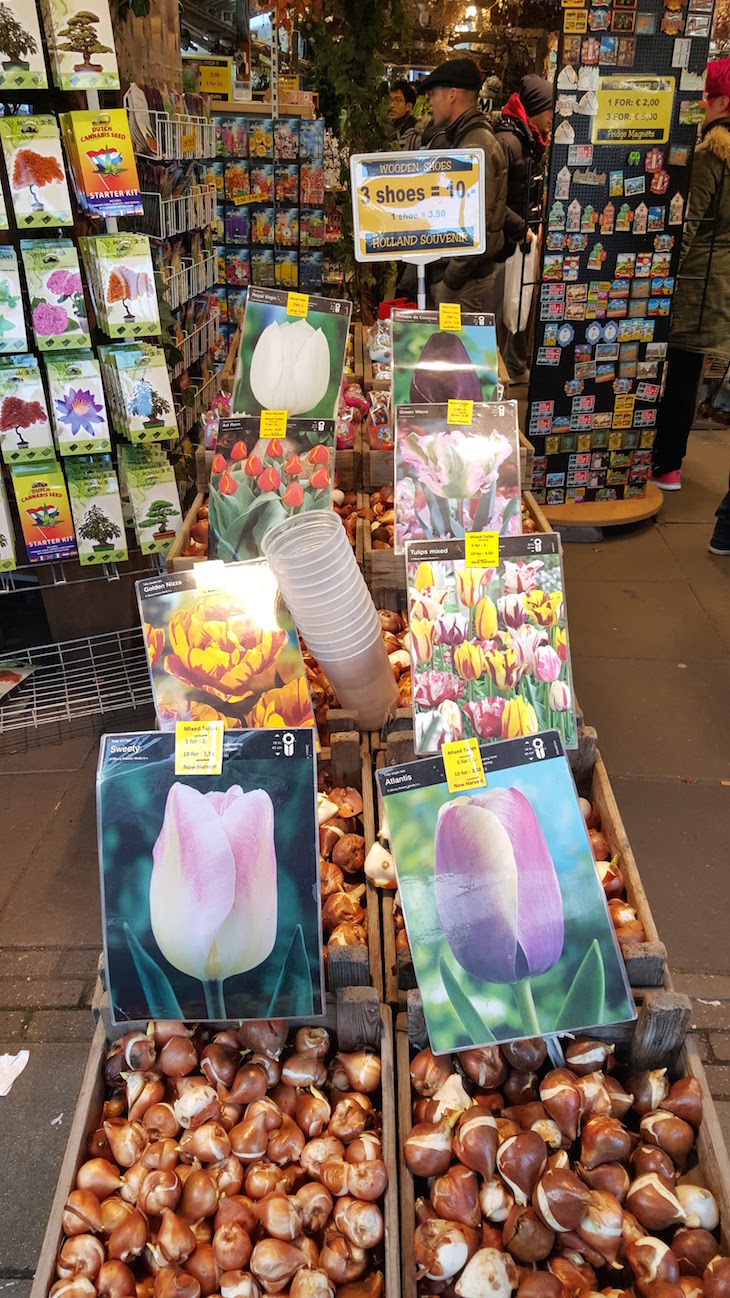 Bolbos na Bloemenmarkt - Mercado de Flores em Amesterdão © Viaje Comigo