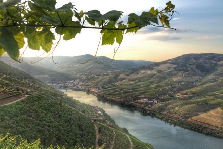 Douro © Rafaela Santiago