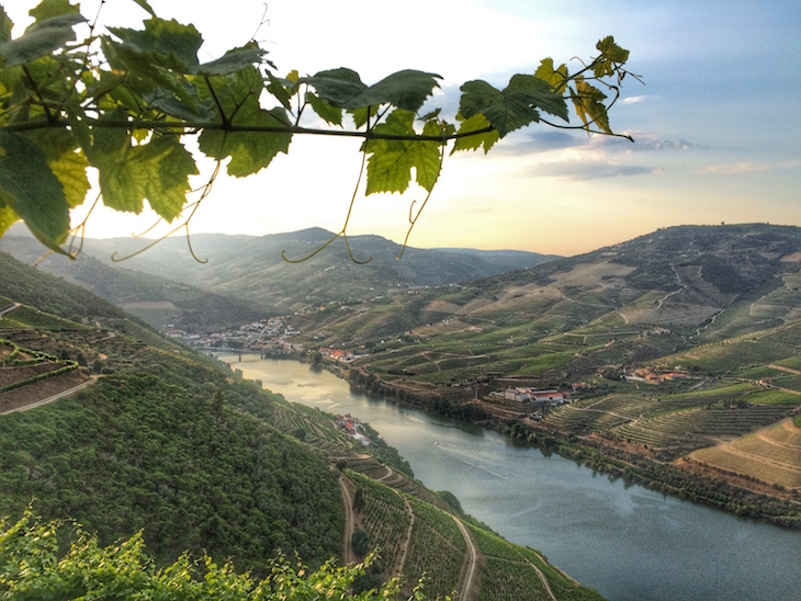 Douro © Rafaela Santiago