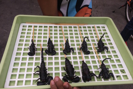 Escorpiões para comer na Kao San Road Banguecoque - Tailândia © Viaje Comigo