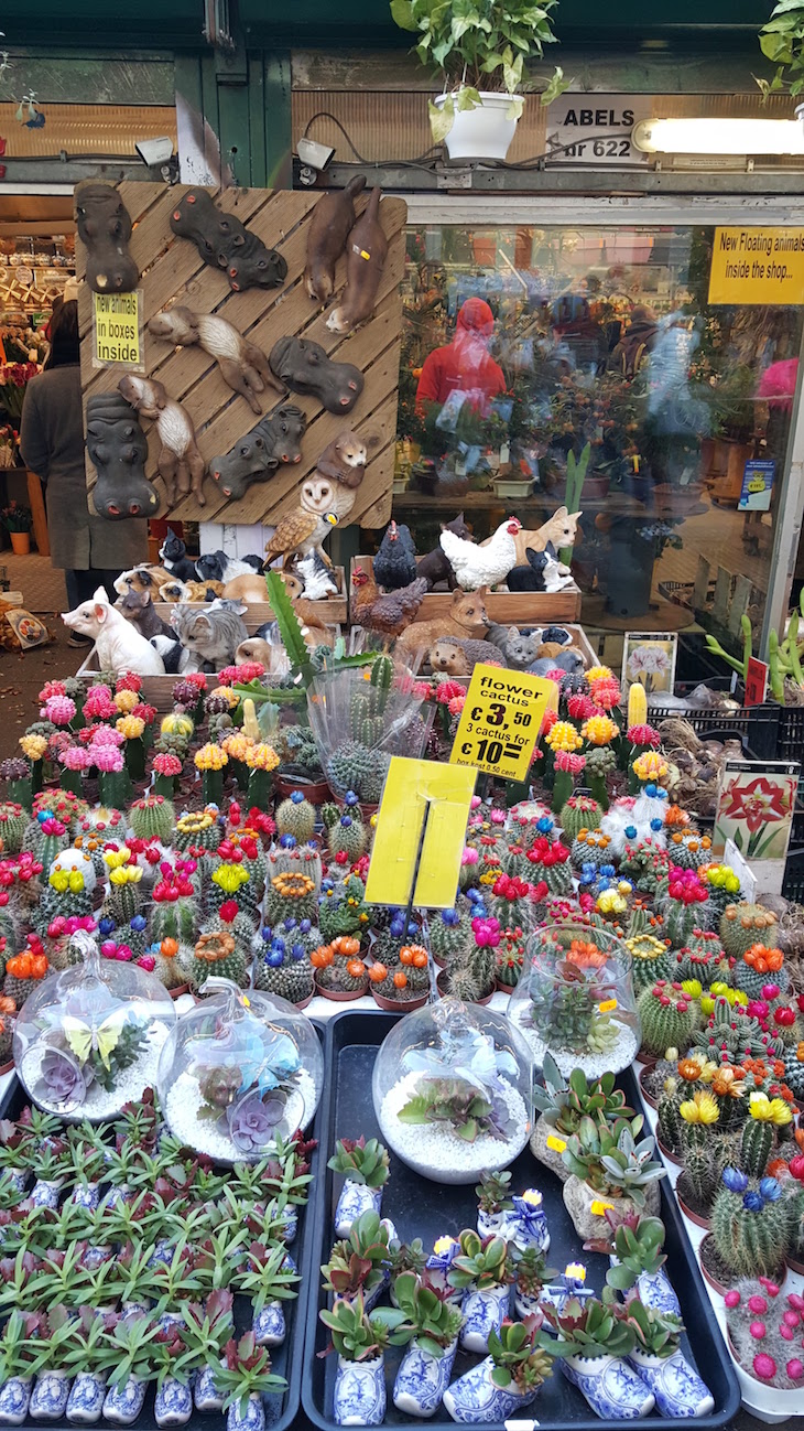 Plantas no Bloemenmarkt - Mercado de Flores em Amesterdão © Viaje Comigo