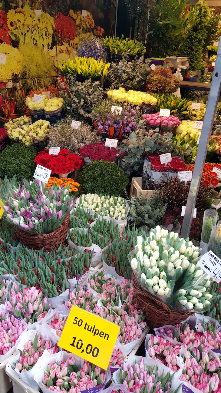 Tulipas no Bloemenmarkt - Mercado de Flores em Amesterdão © Viaje Comigo