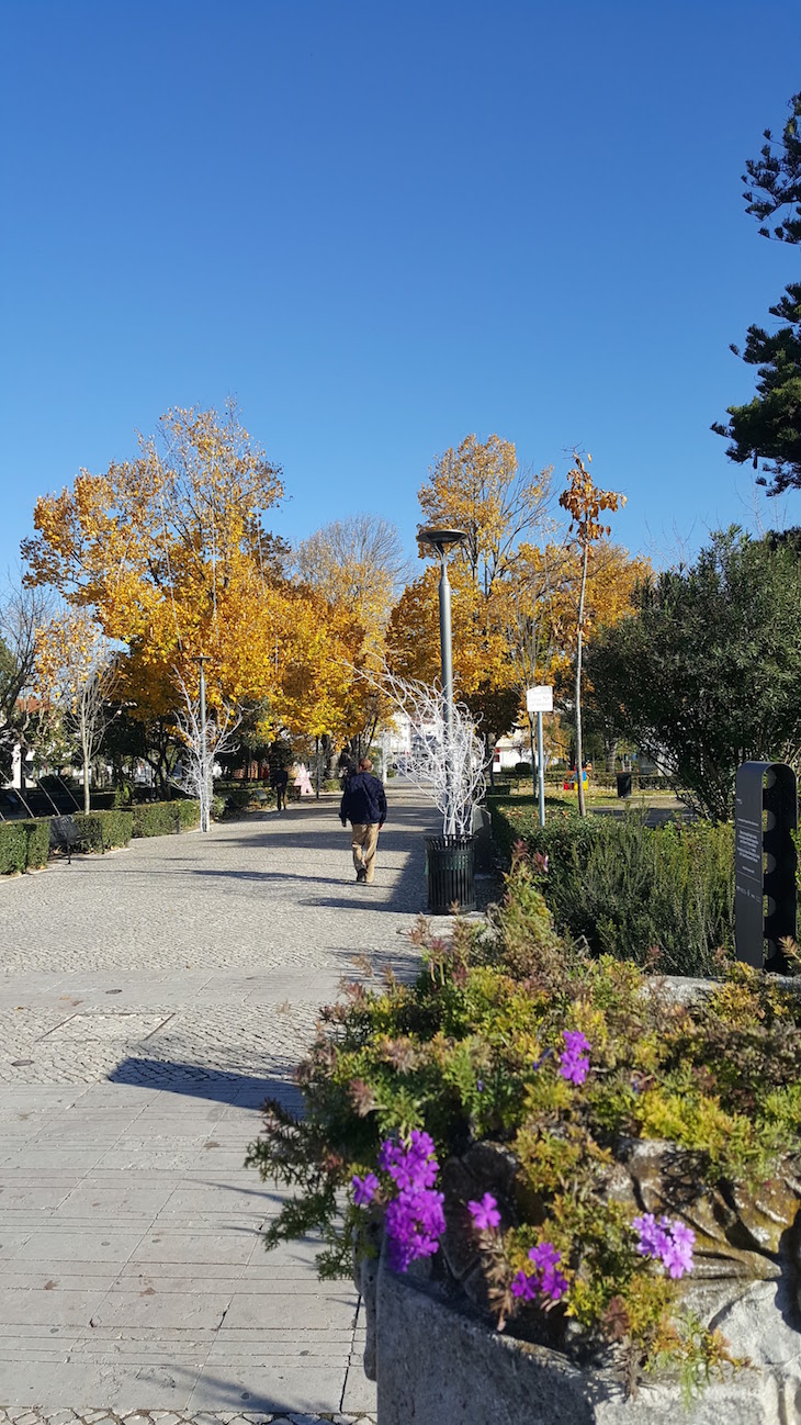 Jardim no centro de Leiria © Viaje Comigo