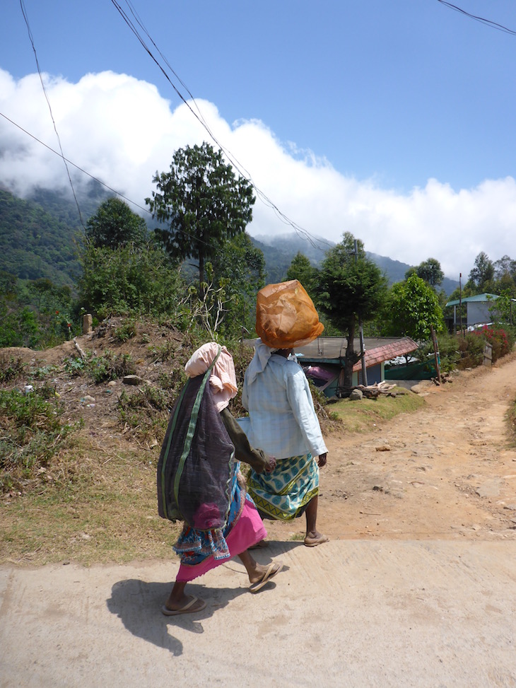 Mulheres a irem para as plantações de chá © Viaje Comigo