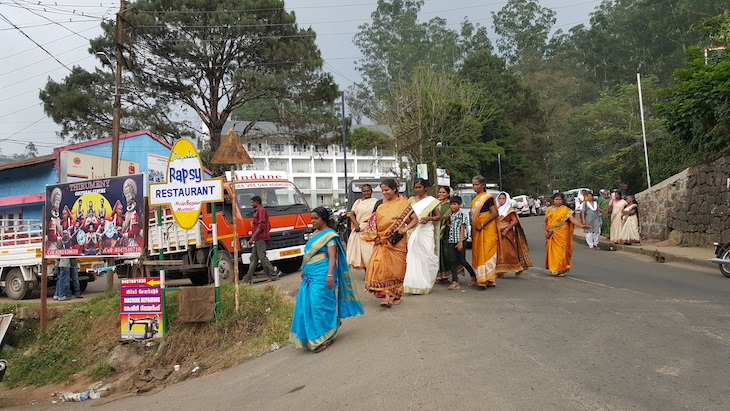 Munnar, Kerala © Viaje Comigo