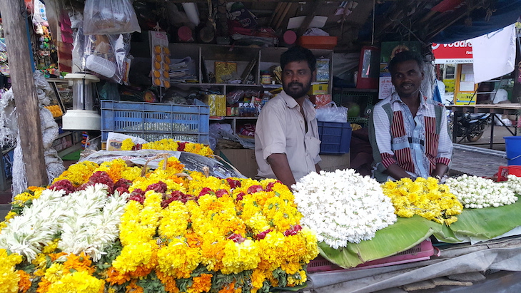 Munnar, Kerala © Viaje Comigo