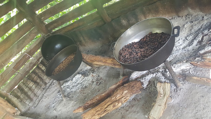 Torrar o café - República Dominicana © Viaje Comigo