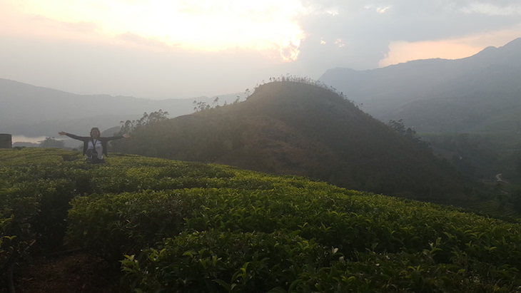 Munnar, Kerala © Viaje Comigo