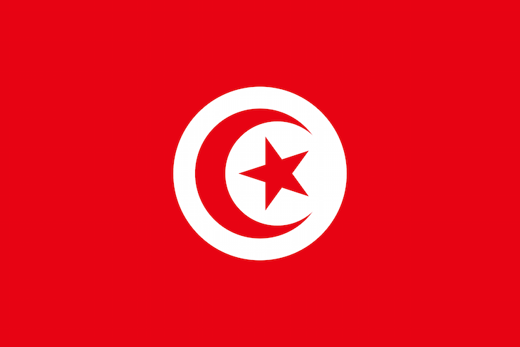 Bandeira Tunísia DR