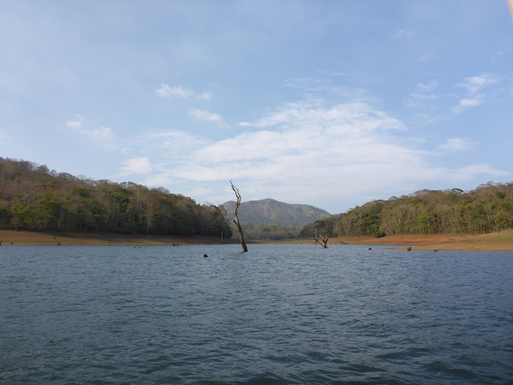 Lago na Periyar Tiger Reserve, Kerala © Viaje Comigo