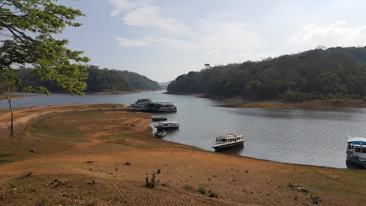 Periyar Tiger Reserve, Kerala © Viaje Comigo 