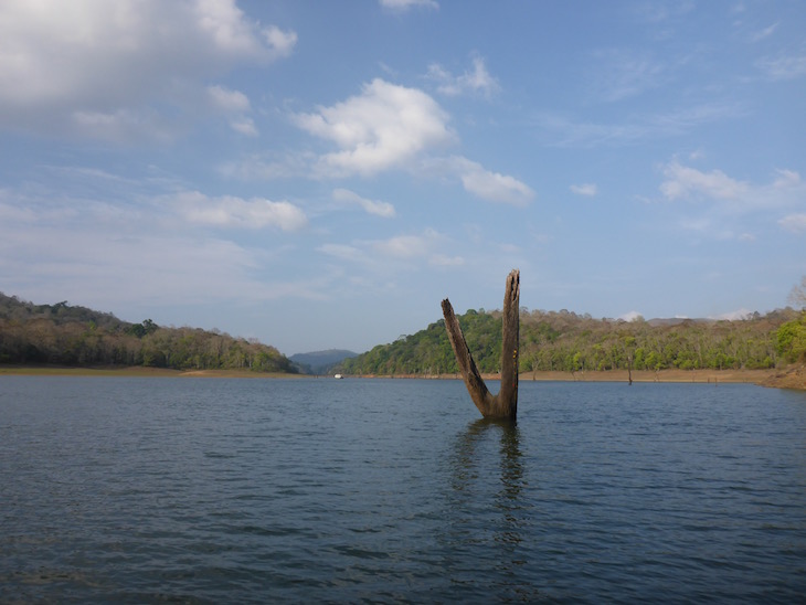 Periyar Tiger Reserve, Kerala © Viaje Comigo 