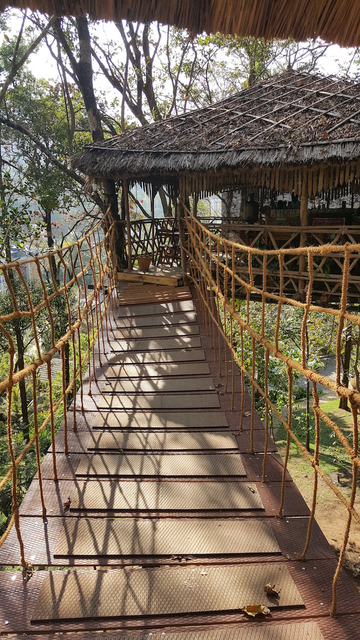 Ponte para a casa da árvore no Greenwoods Resort, Thekkady © Viaje Comigo