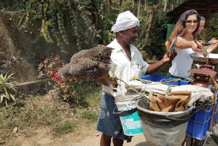 Vendedor de peixe, Thrikkaipetta, Wayanad, Kerala © Viaje Comigo