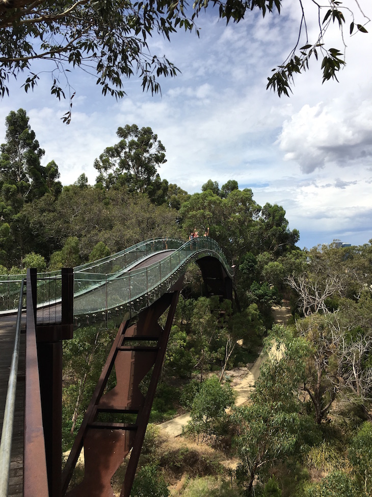 ​Kings Park - Perth DR