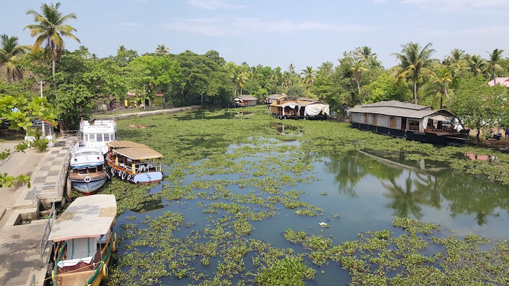 A caminho de Kumarakom – Village life experience, Kerala, Índia © Viaje Comigo