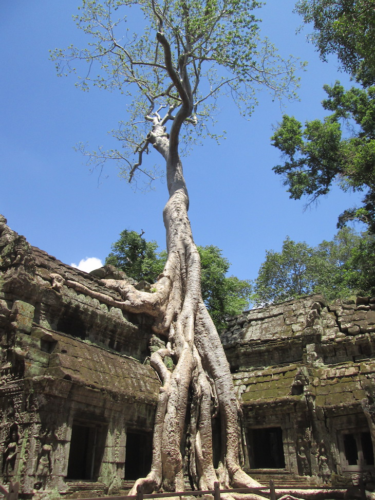 Angkor Wat, Cambodja - Foto Andreia Palmeirim