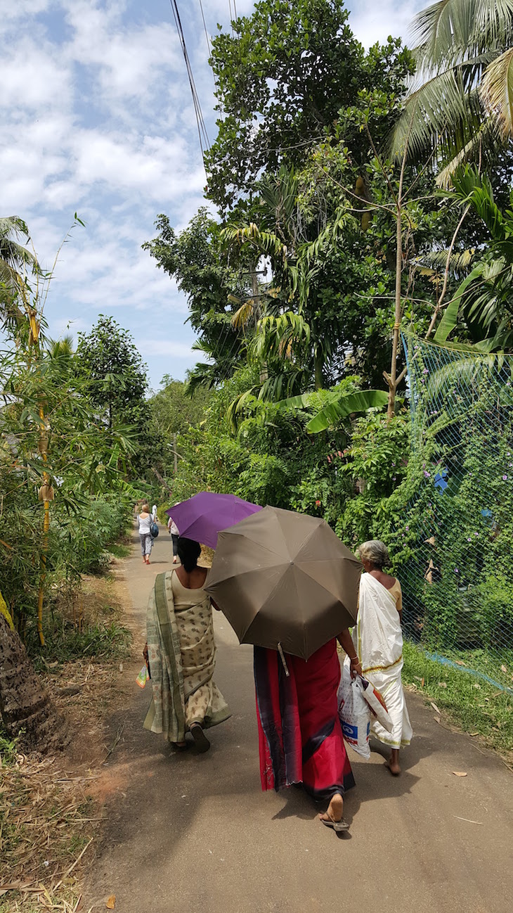 Em Kumarakom, Kerala, India © Viaje Comigo