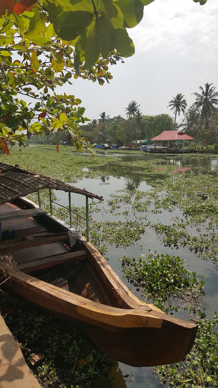 Em Kumarakom – Village life experience, Kerala © Viaje Comigo