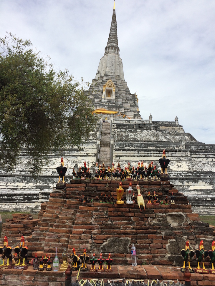 Galos em Wat Phu Khao Thong, Ayutthaya, Tailândia © Viaje Comigo