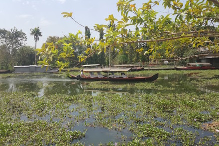 Kumarakom – Village life, Kerala, Índia © Viaje Comigo