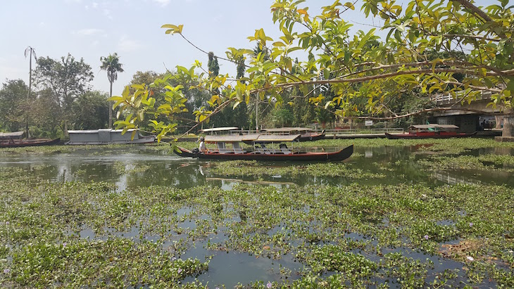 Kumarakom – Village life, Kerala, Índia © Viaje Comigo