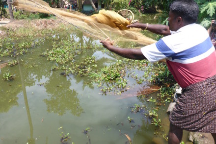 Pesca tradicional em Kumarakom, Kerala © Viaje Comigo