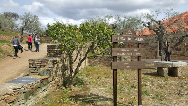 Quinta da Roêda © Viaje Comigo