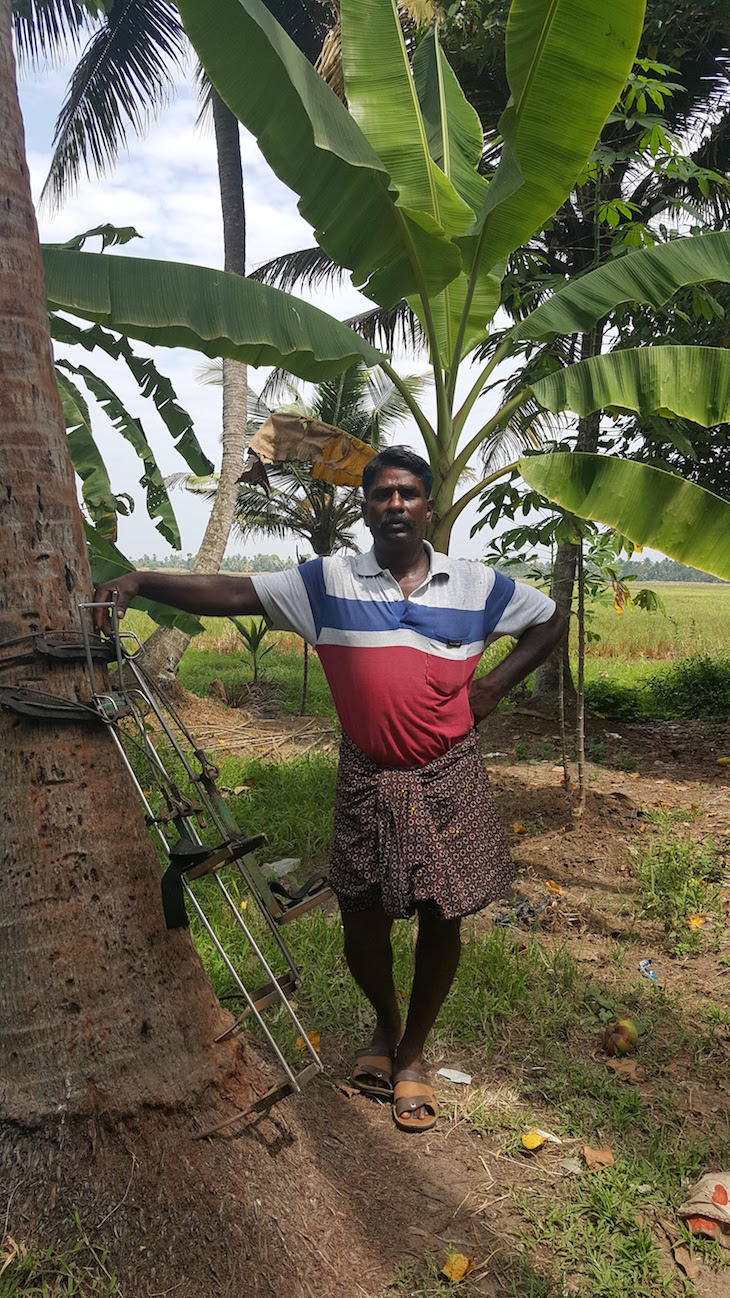Subir a uma palmeira - Kumarakom – Village life experience, Kerala © Viaje Comigo