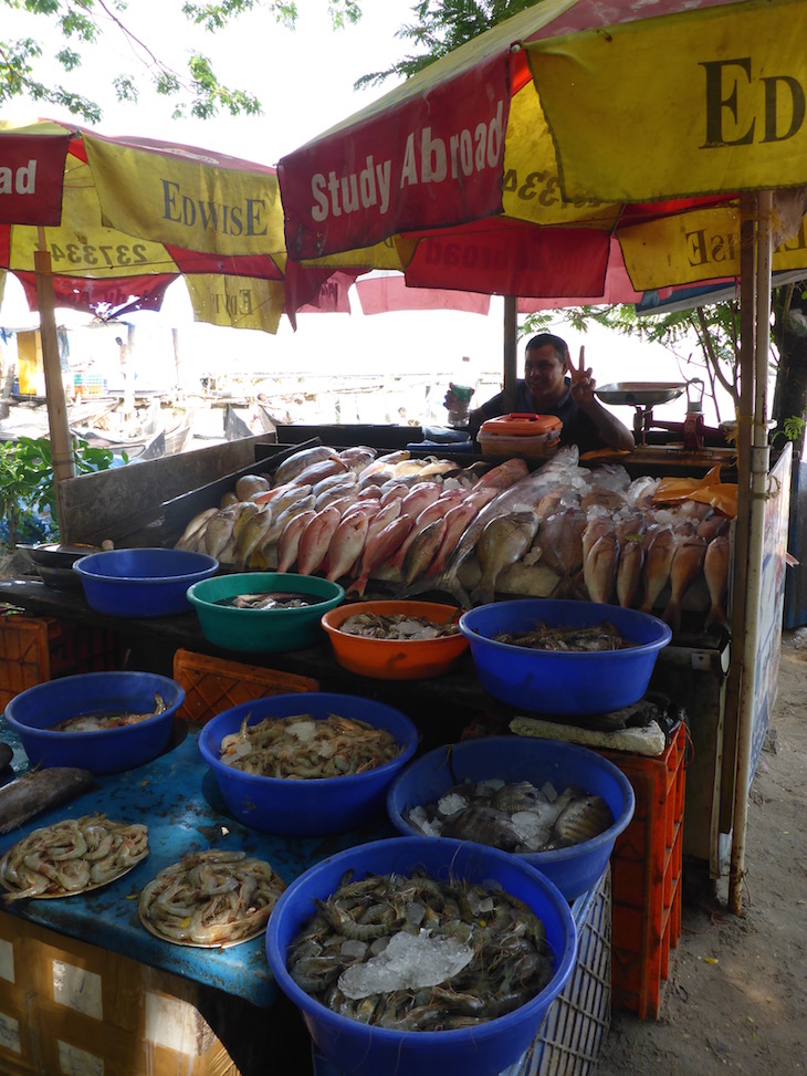Vendedor de peixe no Porto de Cochim, Kerala, India © Viaje Comigo