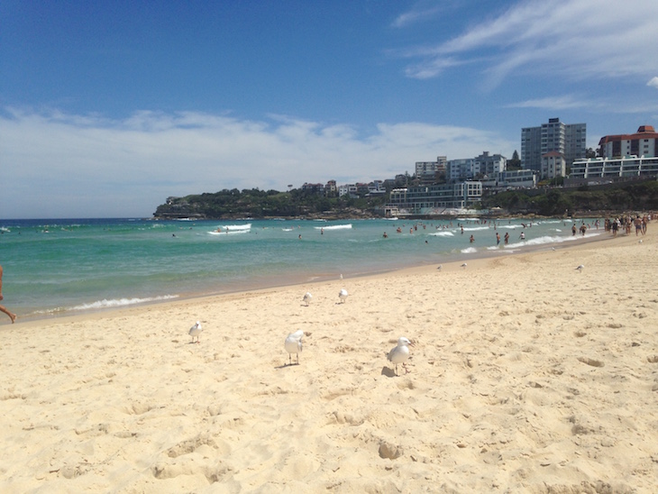 Bondi Beach - Direitos Reservados