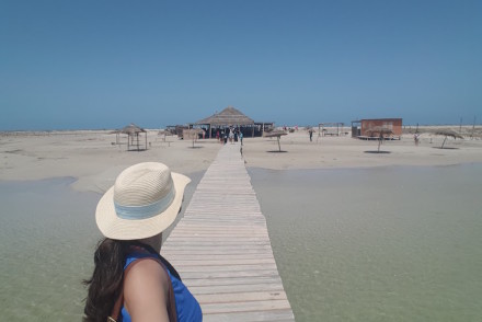 Ilha dos Flamingos, Djerba, Tunísia © Viaje Comigo