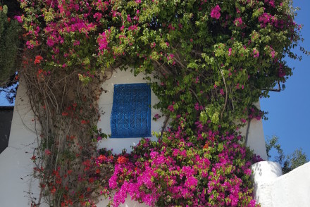 Porta em Sidi Bou Said, Tunisia © Viaje Comigo