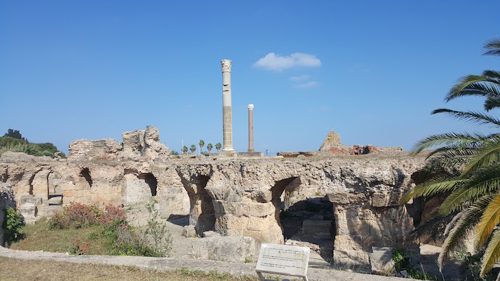 Ruínas de Cartago, Tunisia © Viaje Comigo