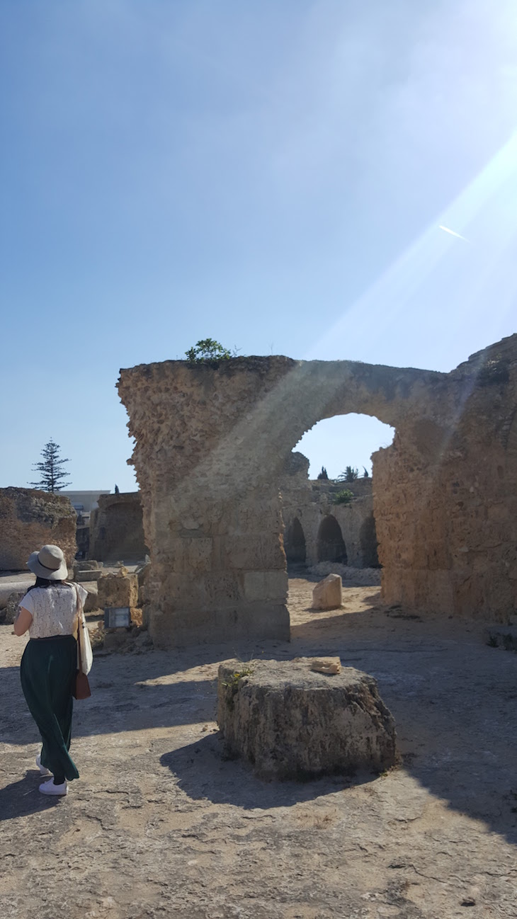 Ruínas de Cartago, Tunisia © Viaje Comigo